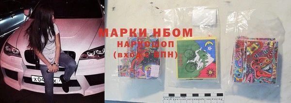 ПСИЛОЦИБИНОВЫЕ ГРИБЫ Дмитриев