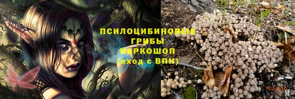 молекула духа Верхний Тагил