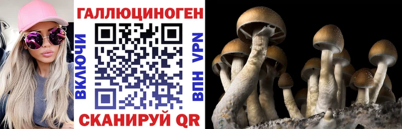 Псилоцибиновые грибы Psilocybe  Лысьва 